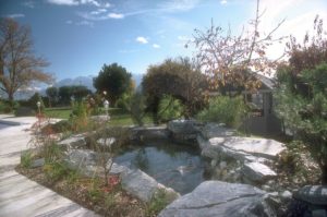 plantations variées autour d'un bassin en béton projeté gunit et boulets de rivière