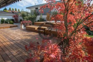 couleurs chaleureuses en automne dans ce jardin japonais en suisse romande
