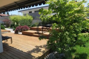 les erables du japon apportent de la fraicheur à ce jardin japonais