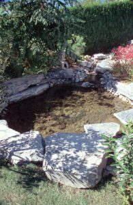 rivière bassin en béton projeté dans un jardin japonais