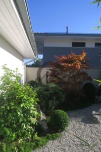 formes et couleurs dans un jardin japonais