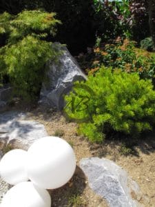 petit pin de montagne et luminaire globo
