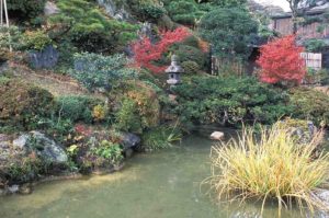 étang dnas un jardin japonais avec lanterne en pierre et graninées