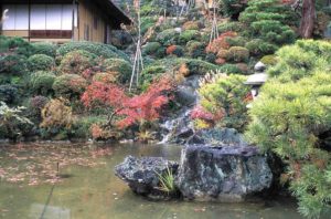 étang naturel dans un jardin japonais avec petite cascade et lanterne en pierre