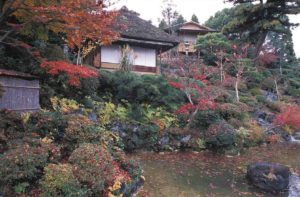 étang dans un jardin japonais aux couleurs automnales
